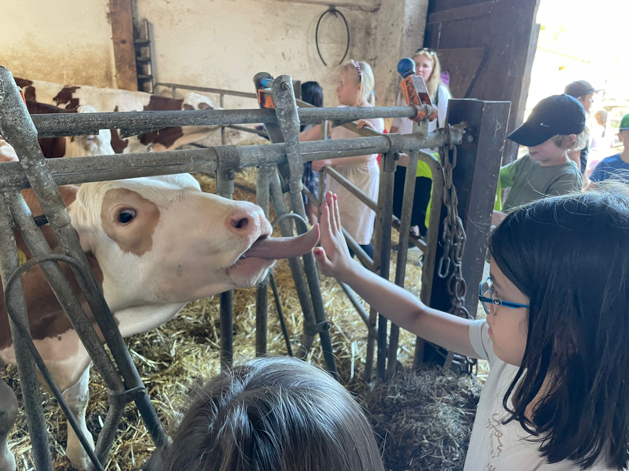 Lernen auf dem Bauernhof